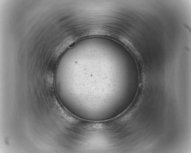 X0000100910841200807011241