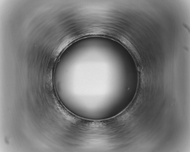 X0000100910842200807011241