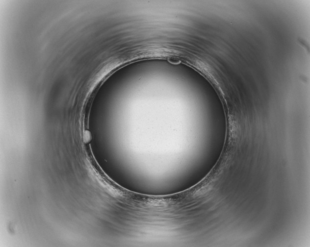 X0000100910843200807011242