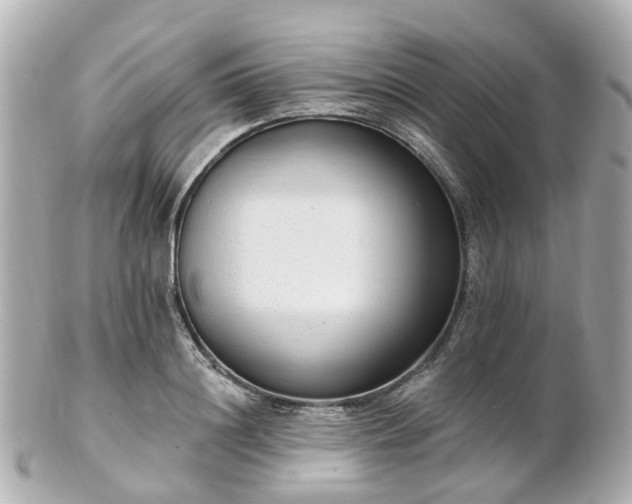 X0000100910844200807011242