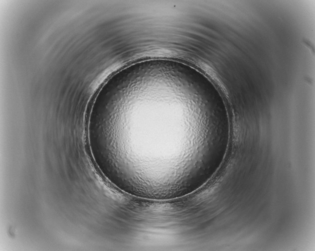 X0000100910845200807011242