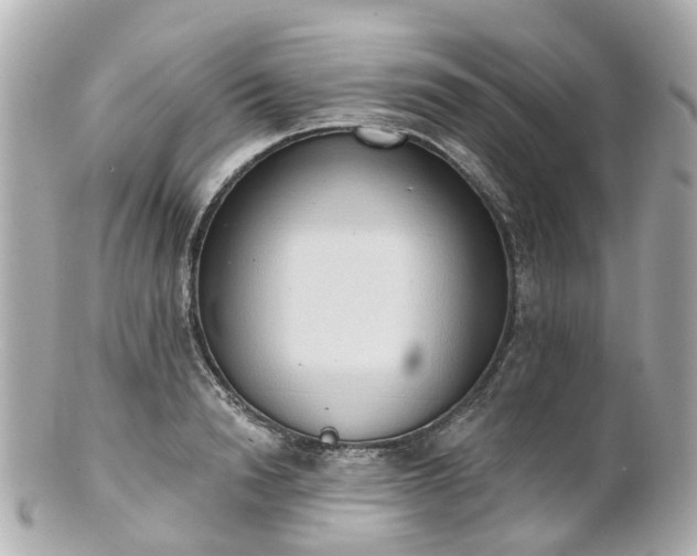 X0000100910846200807011242
