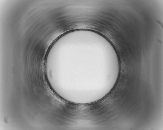 X0000100910848200807011242