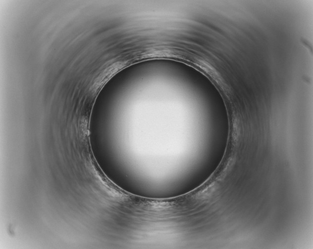 X0000100910849200807011242
