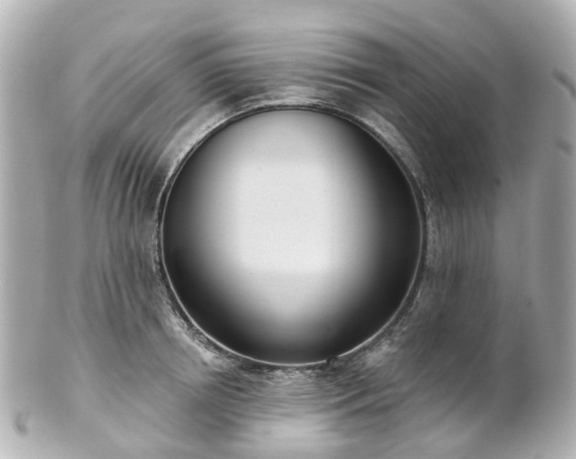 X0000100910850200807011242