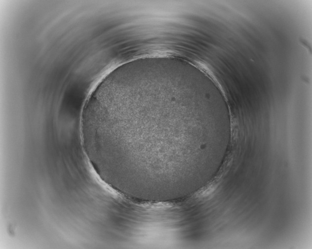 X0000100910851200807011242