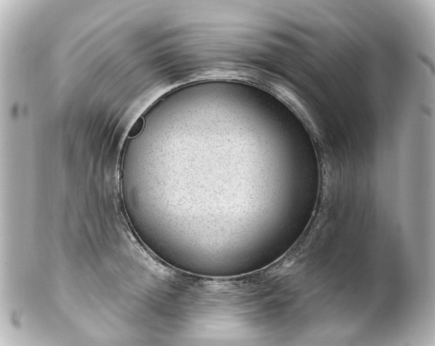 X0000100910852200807011242