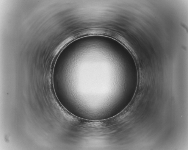 X0000100910853200807011242