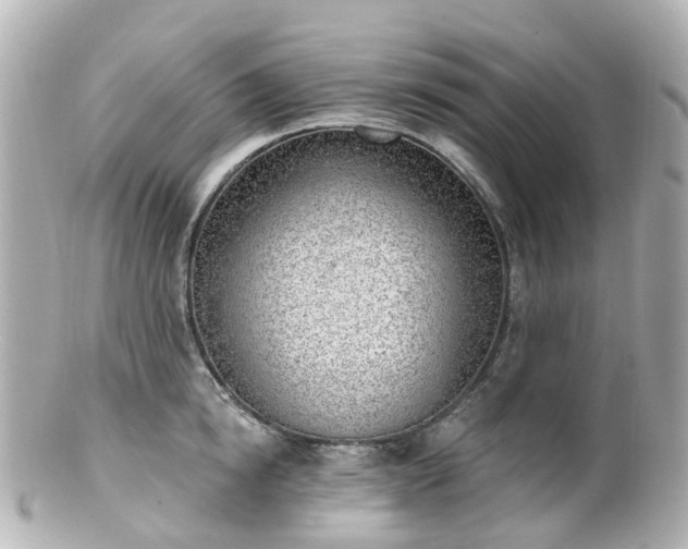X0000100910854200807011242