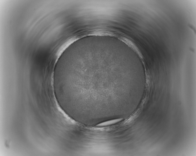 X0000100910855200807011242
