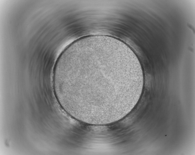 X0000100910856200807011242