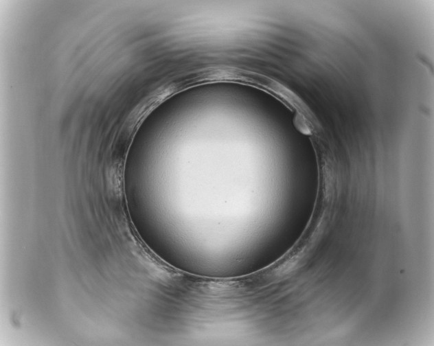 X0000100910857200807011242