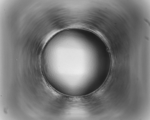 X0000100910862200807011242