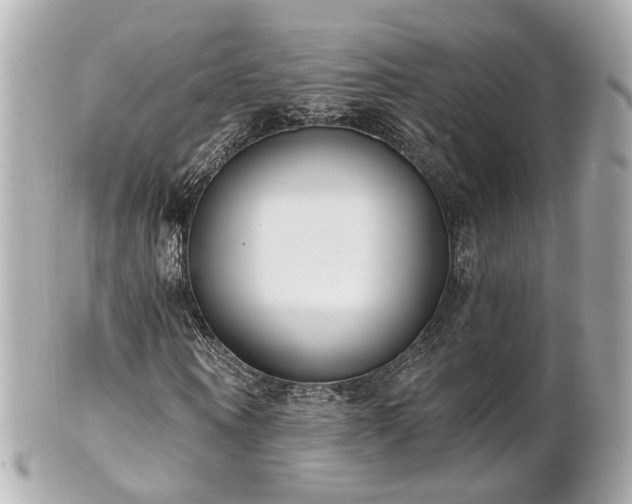 X0000100910866200807011241