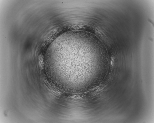X0000100910867200807011241