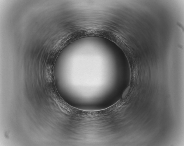 X0000100910868200807011241