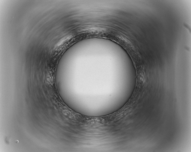 X0000100910869200807011241