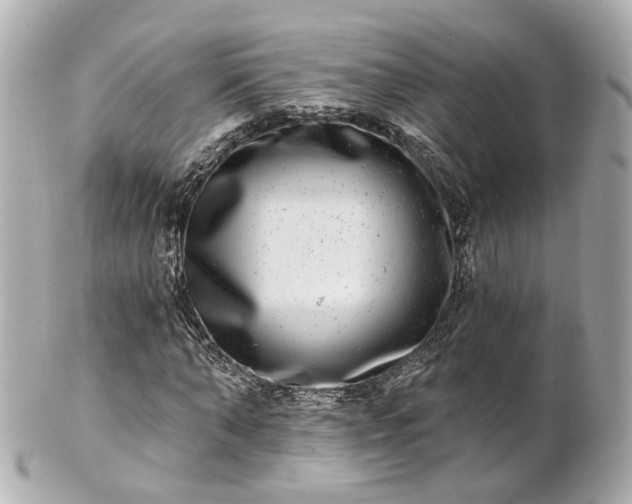 X0000100910870200807011241
