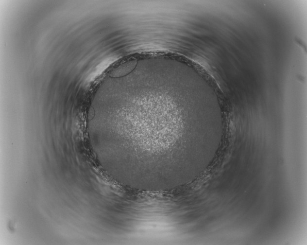 X0000100910871200807011241