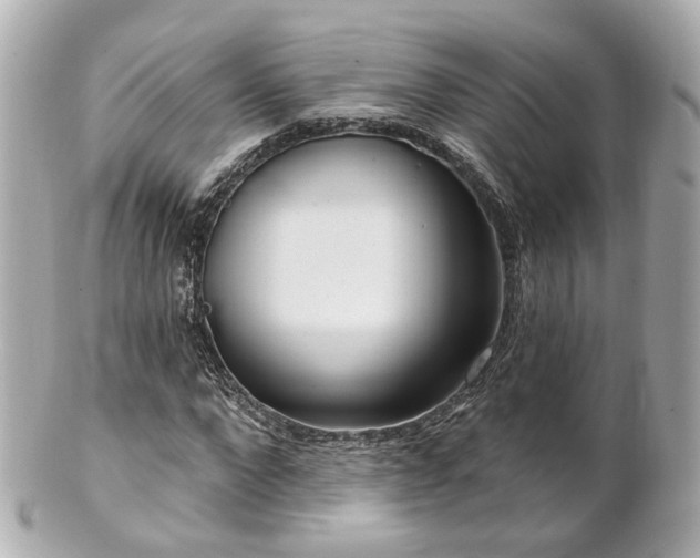 X0000100910872200807011241