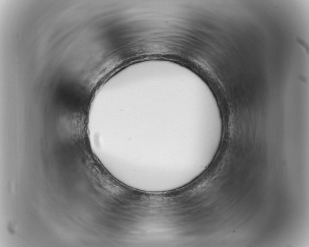 X0000100910873200807011241