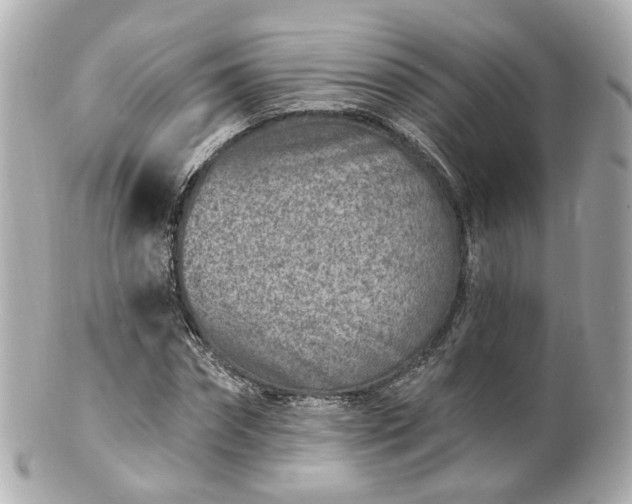 X0000100910874200807011241