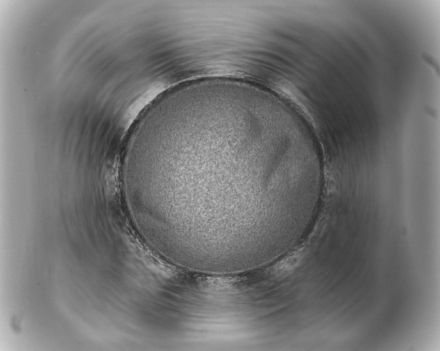 X0000100910875200807011241