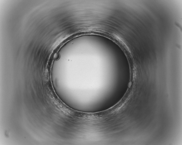 X0000100910876200807011241
