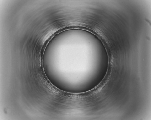 X0000100910877200807011241