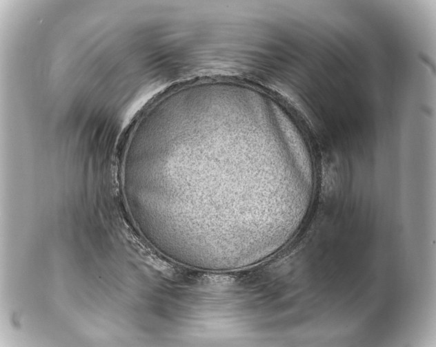 X0000100910878200807011241