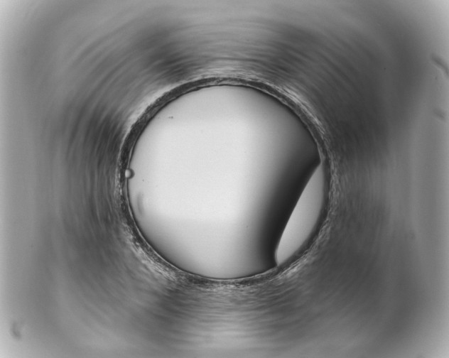 X0000100910880200807011241