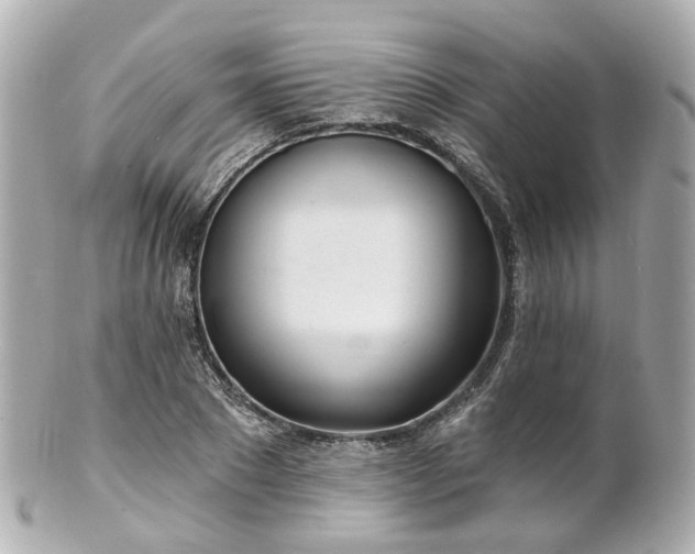 X0000100910881200807011241