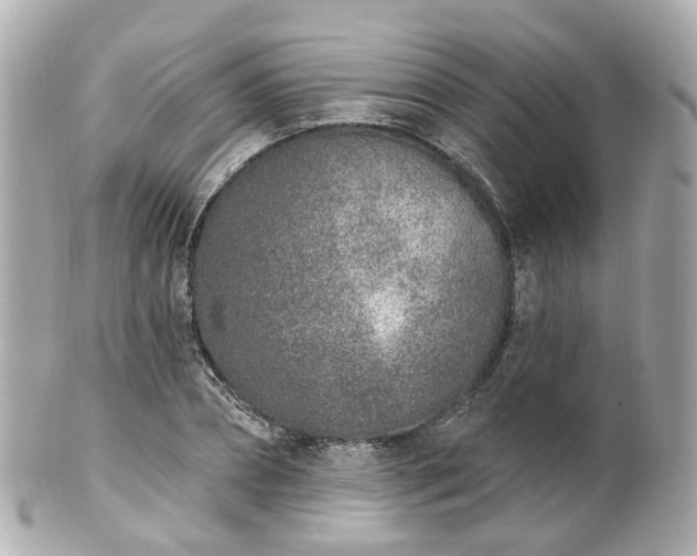 X0000100910882200807011241