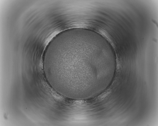 X0000100910883200807011241
