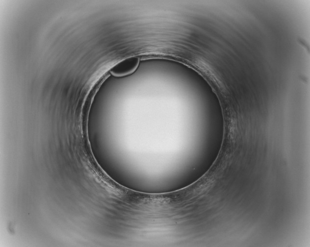X0000100910884200807011241