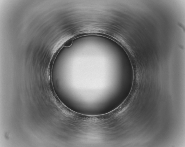 X0000100910885200807011241