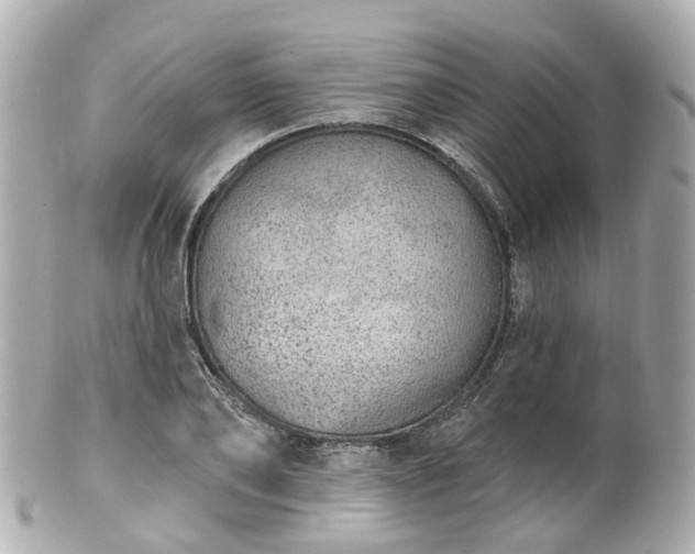 X0000100910886200807011241