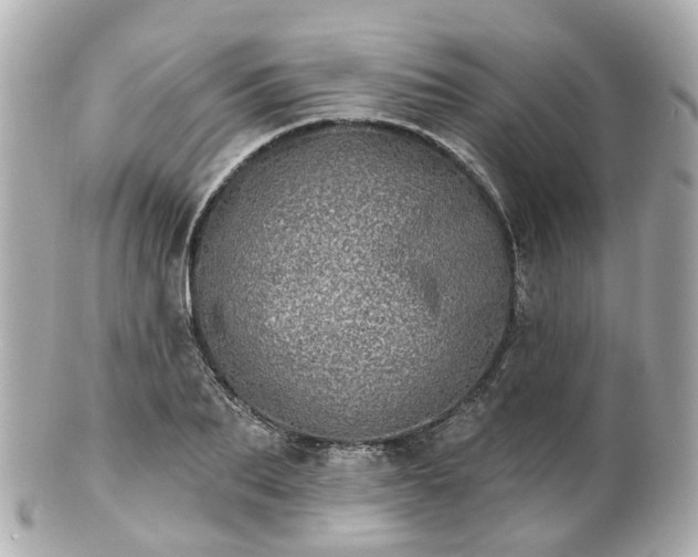 X0000100910887200807011241