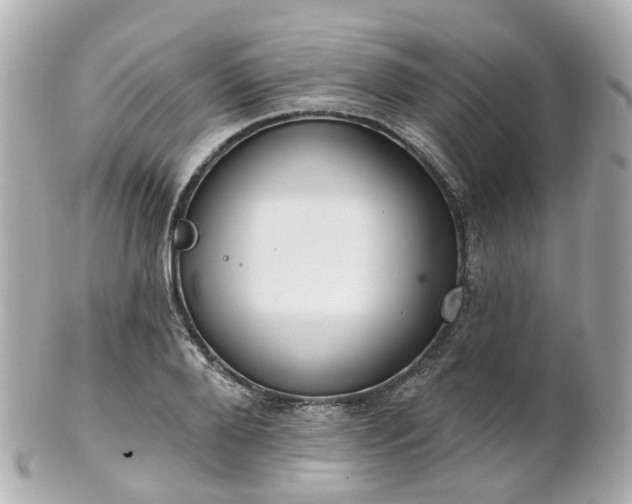 X0000100910888200807011241