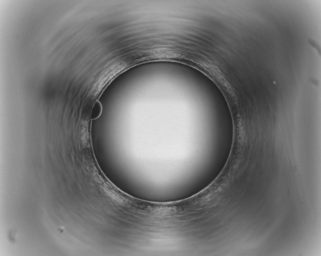 X0000100910889200807011241
