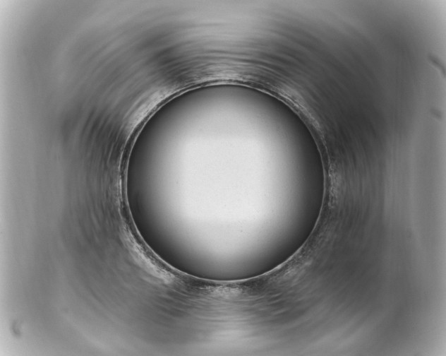 X0000100910890200807011241
