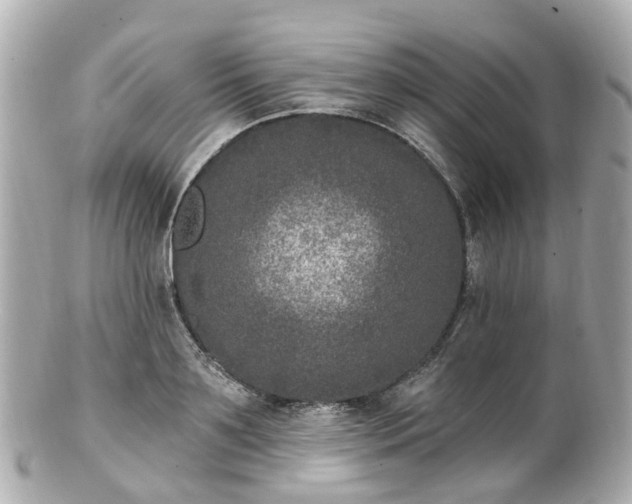 X0000100910891200807011241