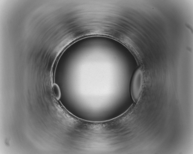 X0000100910892200807011241