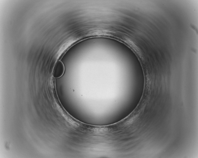 X0000100910893200807011241