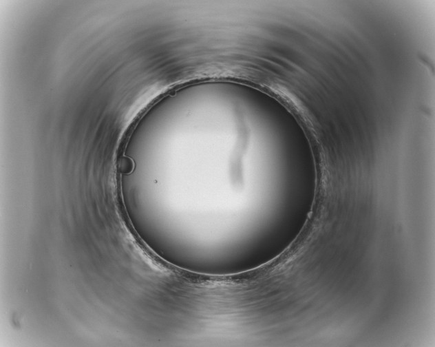 X0000100910894200807011241