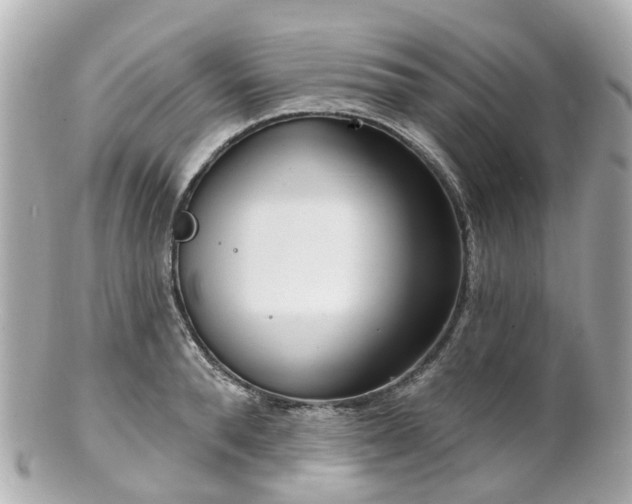 X0000100910896200807011241
