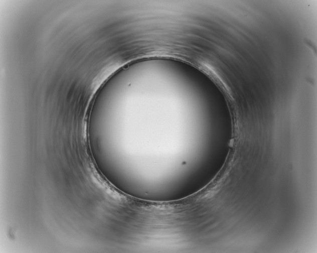 X0000100910900200807011241