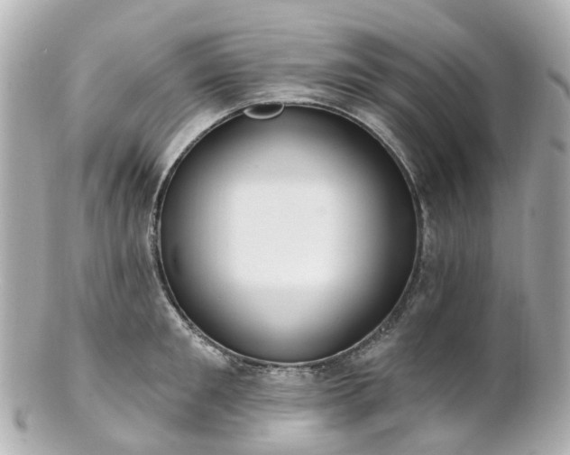 X0000100910901200807011241
