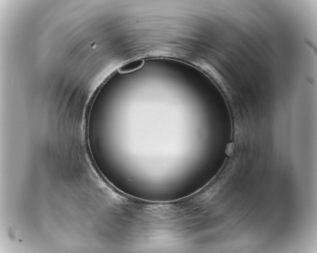 X0000100910902200807011241