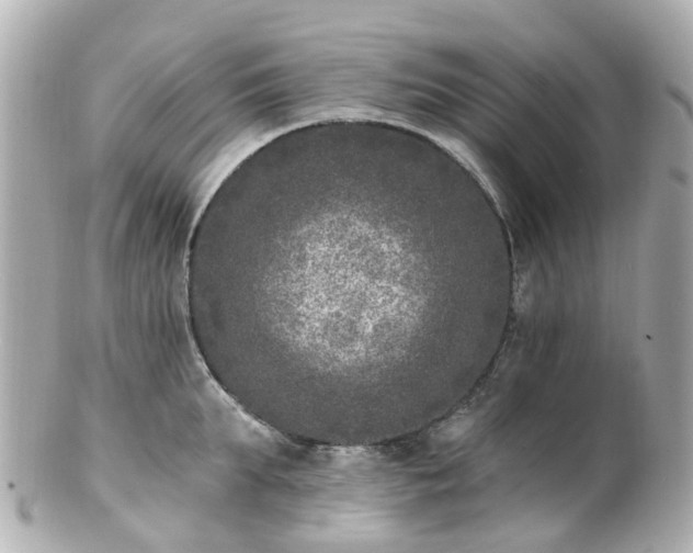 X0000100910903200807011241